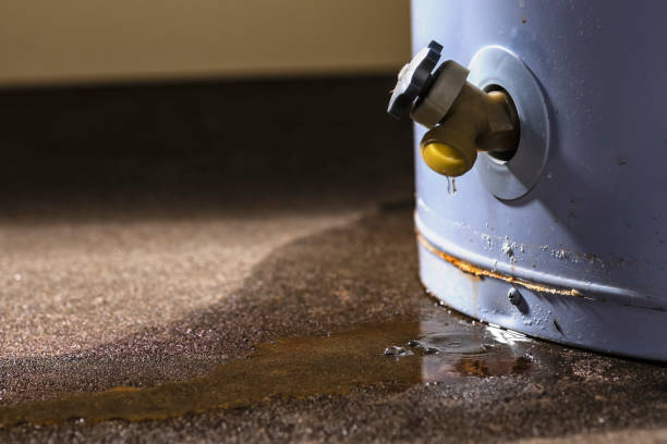 Best Ceiling water damage repair  in Redway, CA