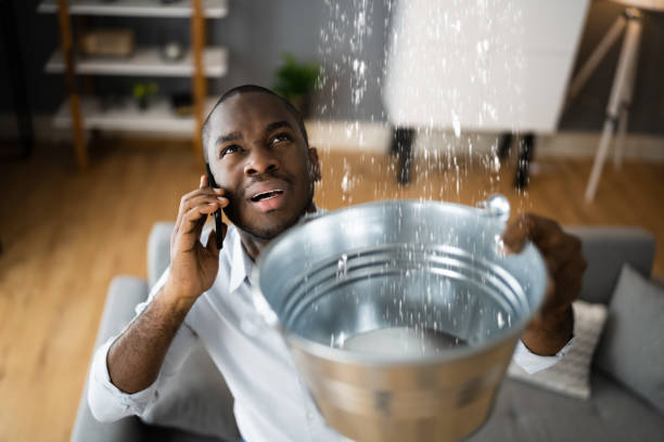 Best Mold removal after water damage  in Redway, CA