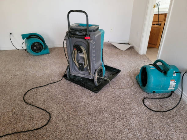 Best Water damage mitigation services  in Redway, CA