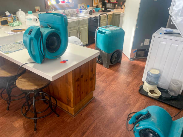 Carpet water damage restoration in Redway, CA