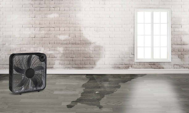 Best Fire Damage Restoration  in Redway, CA