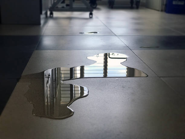 Best 24-hour water damage restoration  in Redway, CA