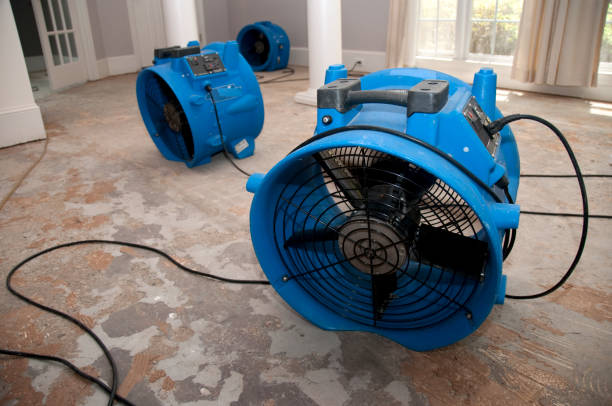 Best Basement water damage restoration  in Redway, CA